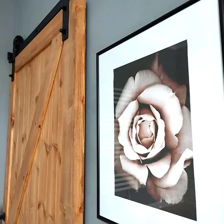 Bb * 포드고르진