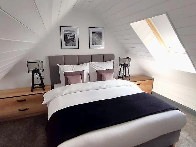 Bb * 포드고르진