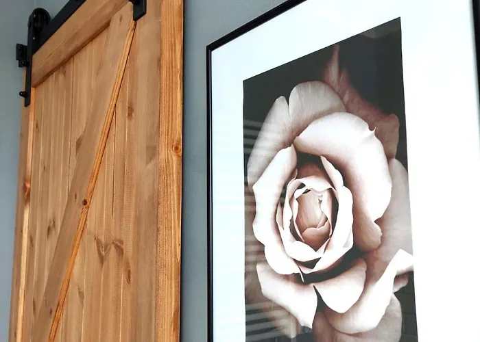 Bb * 포드고르진